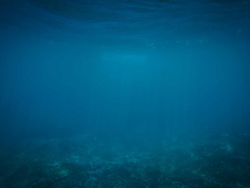 颈椎自救<br>lyi8kqqq.cn 天鹅颈养成